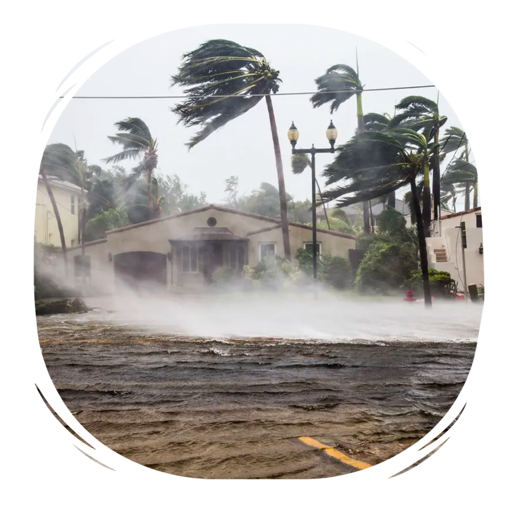 Trip Inconvenience / Delay