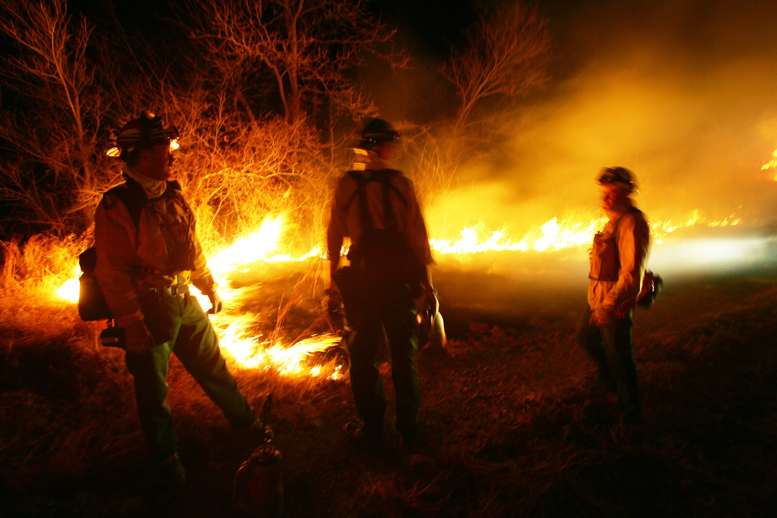 Ongoing Situational Report: Heatwaves and Wildfires in Europe