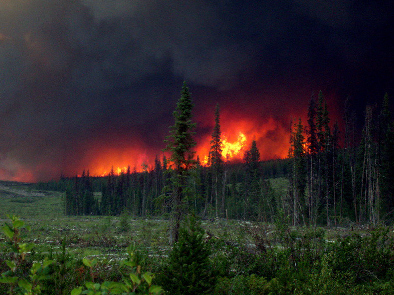 Incendios Forestales Descontrolados en Varias Provincias Canadienses