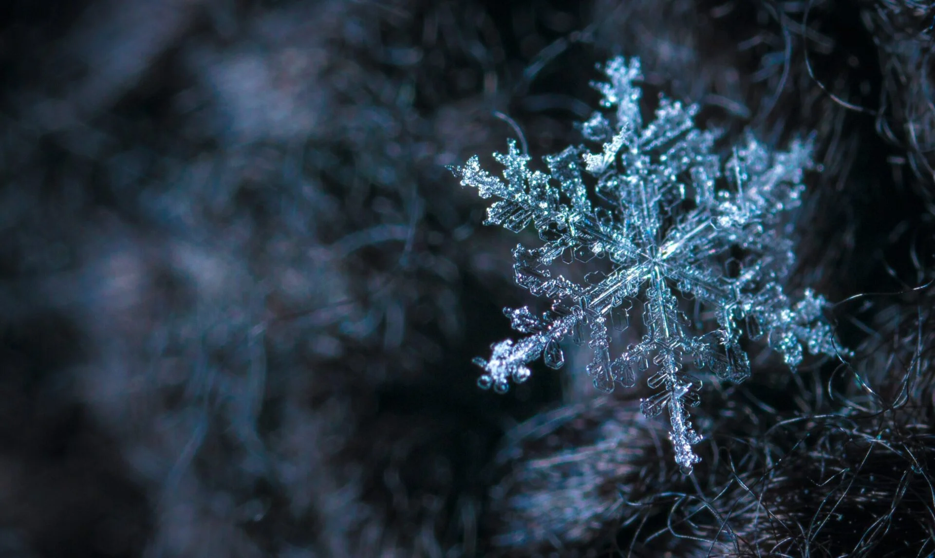 Sunkissed Traditions: Unwrapping Local Beliefs for the Winter Solstice