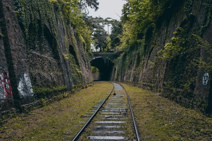 La Petite Ceinture, Discover Paris Off the Beaten Path: Unveiling Hidden Gems